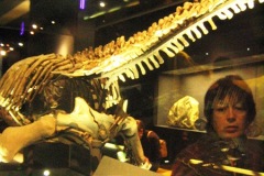 Natural History