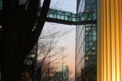 Tokyo Forums