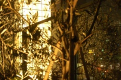 Roppongi Hills