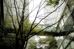 Tokyo Forums