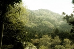 Amagi-so Ryokan