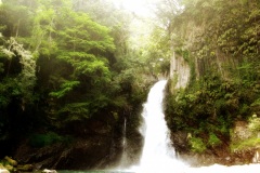 Amagi-so Onsen