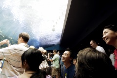 Aquarium