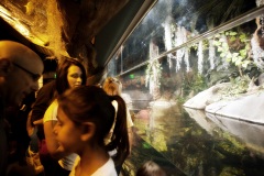 Aquarium