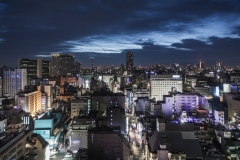 Shinjuku Night