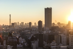 Tokyo Morning