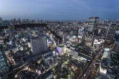 Shibuya Dusk