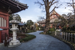 Senso-ji Temple