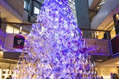 PXL_20221222_070825112