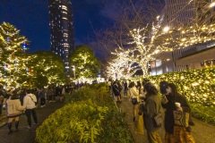 PXL_20221222_081212392
